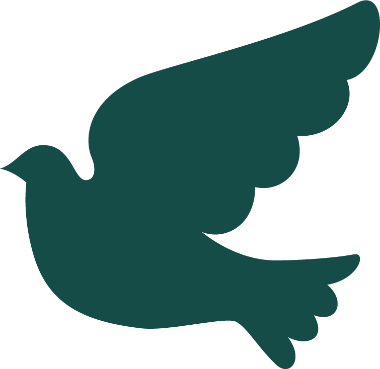 Duif groen