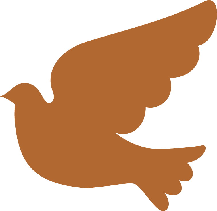 Duif oranje